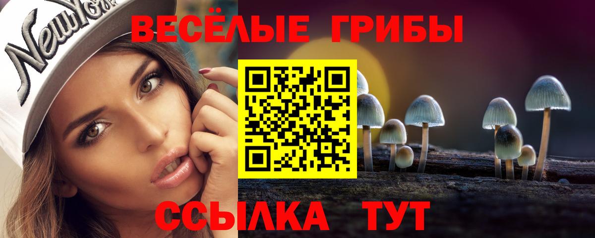 Псилоцибиновые грибы Psilocybine cubensis Среднеуральск